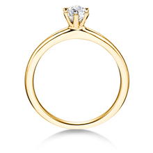 Lade das Bild in den Galerie-Viewer, 21604 - 6 Krappen mit Brillant