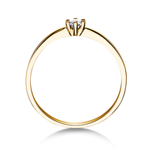 Lade das Bild in den Galerie-Viewer, 21603 - 6 Krappen mit Brillant