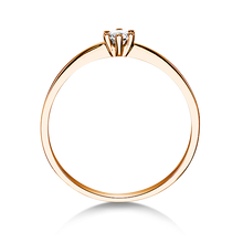 Lade das Bild in den Galerie-Viewer, 21603 - 6 Krappen mit Brillant