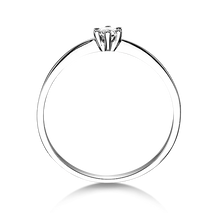 Lade das Bild in den Galerie-Viewer, 21603 - 6 Krappen mit Brillant