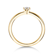 Lade das Bild in den Galerie-Viewer, 21601 - 6 Krappen mit Brillant