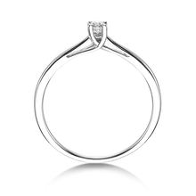 Lade das Bild in den Galerie-Viewer, 21402 - 4 Krappen mit Brilliant