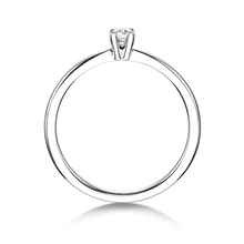 Lade das Bild in den Galerie-Viewer, 21401 - 4 Krappen mit Brilliant