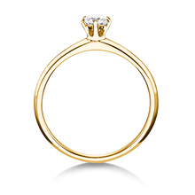 Lade das Bild in den Galerie-Viewer, 21602 - 6 Krappen mit Brillant